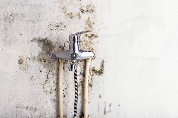 Mold Testing and Removal in Lancaster, TX